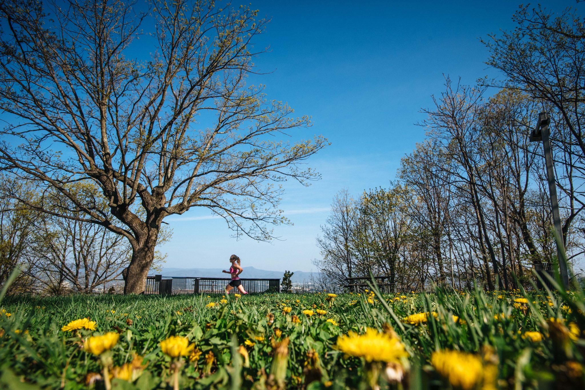 Blue Ridge Marathon