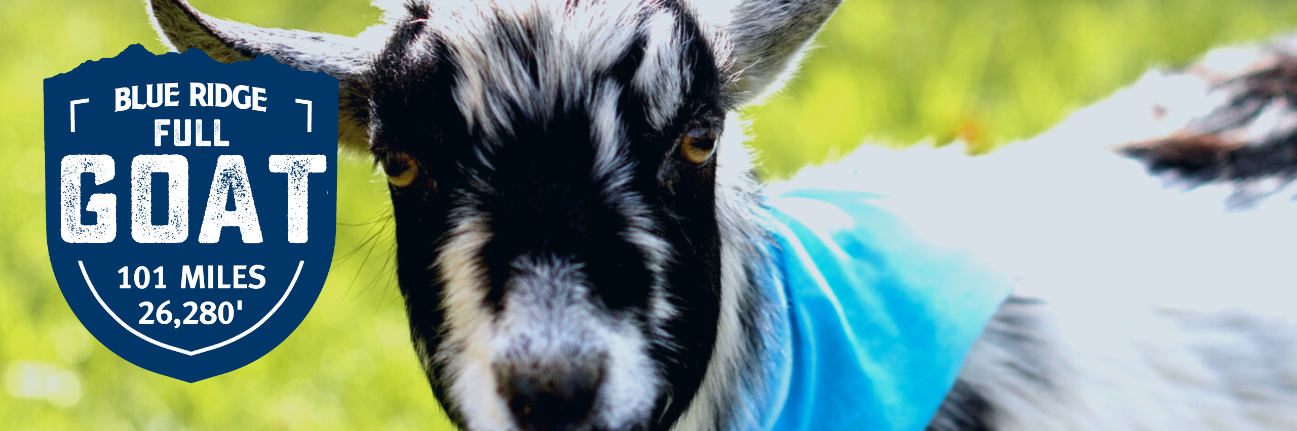 Blue Ridge Full Goat photo logo